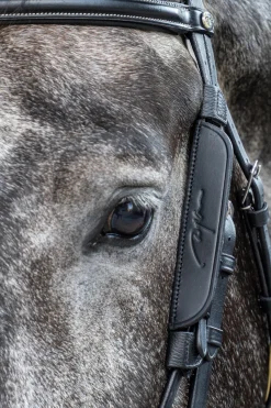 Working Mini-Scheuklappen