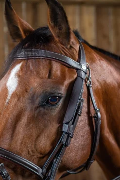 Working Mini-Scheuklappen