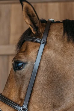 Working Trainings Trense