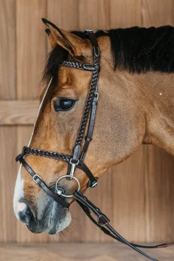 Working Trainings-Trense mit geflochtenen Details