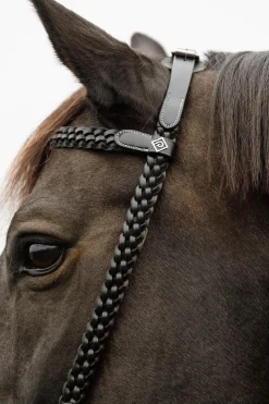 Working Trainings-Trense mit geflochtenen Details