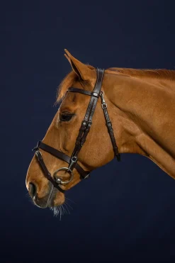 Working Trense aus flachem Leder mit Karabinerhaken