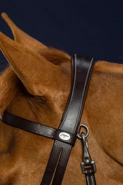 Working Trense aus flachem Leder mit Karabinerhaken