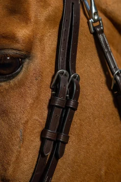 Working Trense aus flachem Leder mit Karabinerhaken