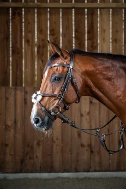 Working Trense mit mexikanischem Reithalfter