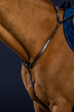 Working Vorderzeug mit Brücke