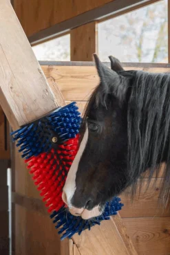 XL Kratzbürste, rund