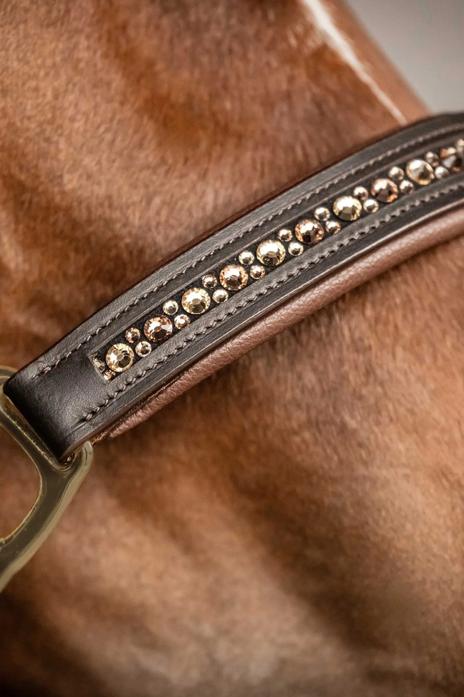 X-Line Crystal Lederhalfter