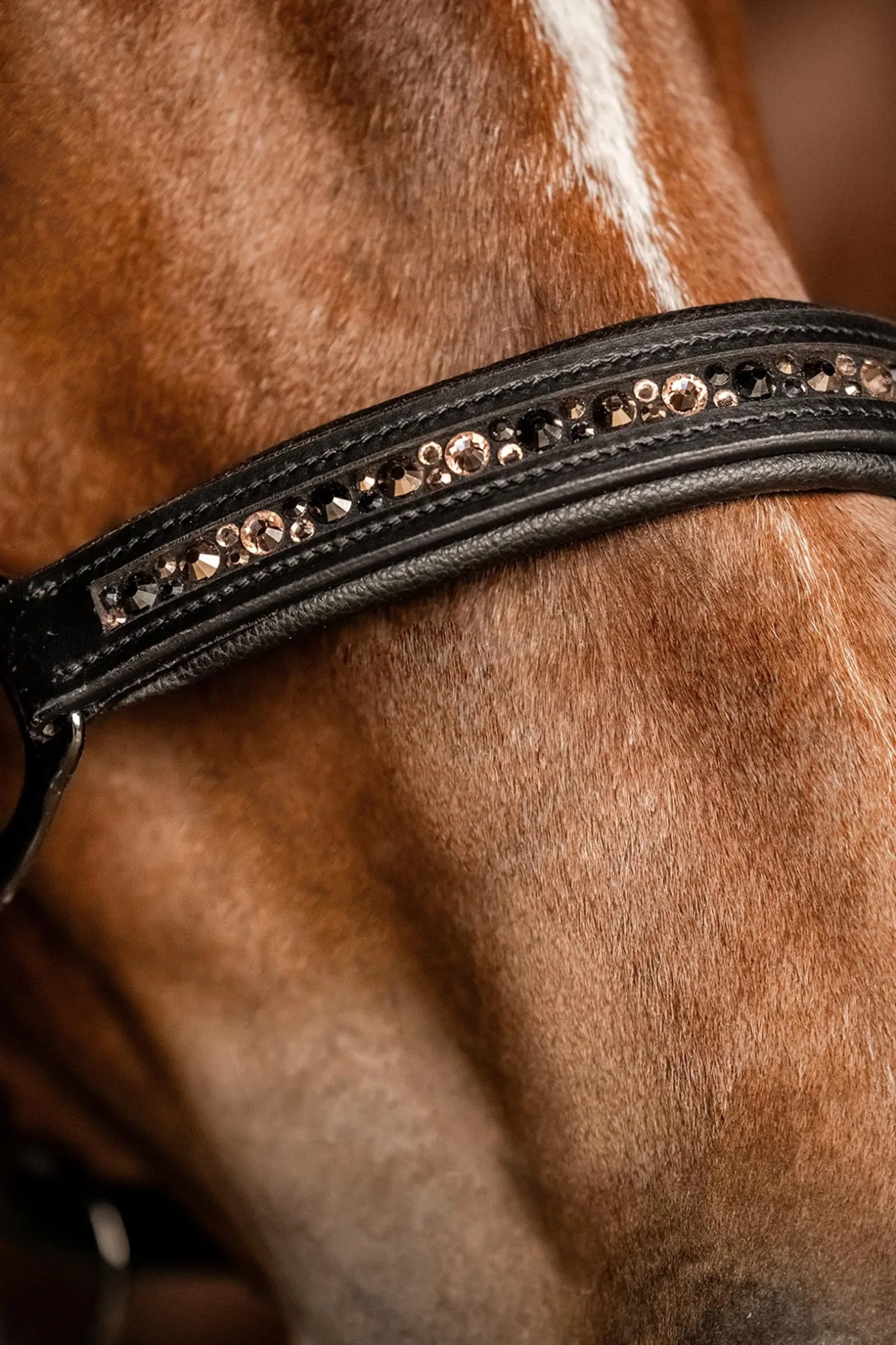 X-Line Crystal Lederhalfter