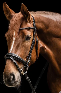 X-Line Favourite Trense