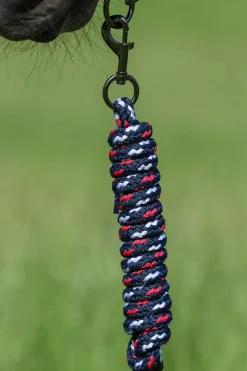 Yale Set Halfter & Strick