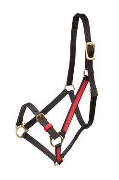 Yankee Nylon-Halfter, 20mm, offene Nase